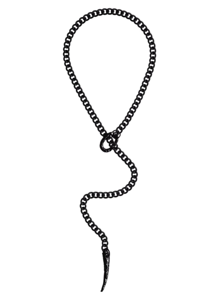 Black chain  necklace with a horn pendant and a white background